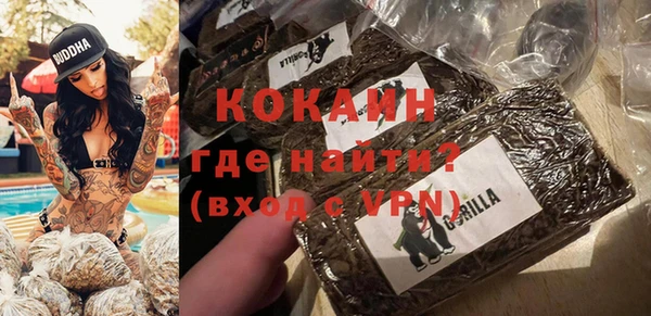 шишки Абинск