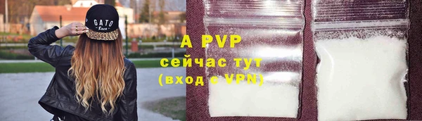 тгк Абаза