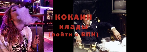 шишки Абинск