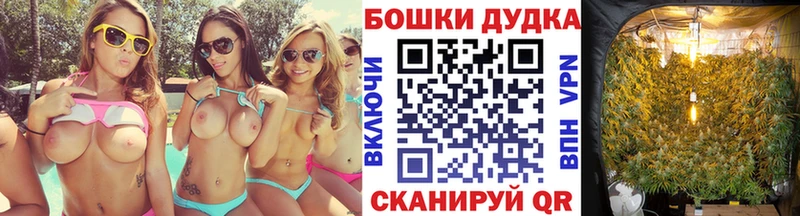 Каннабис OG Kush  Чкаловск 
